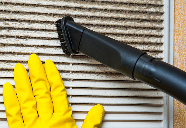 Best Affordable Air Duct Cleaning  in Ave Maria, FL